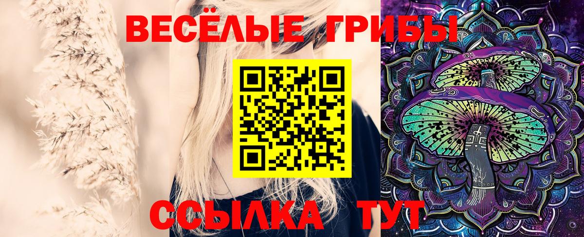 Верхняя Пышма  КОКАИН  МЕФ   ГАШИШ  A PVP СК кристаллы  Вход с VPN  Конопля 