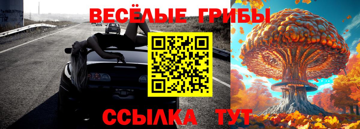 Псилоцибиновые грибы Psilocybe Верхняя Пышма