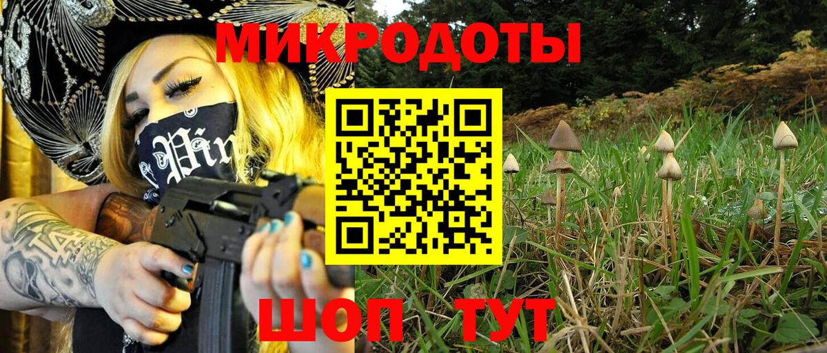 Псилоцибиновые грибы ЛСД  Вход с VPN  Верхняя Пышма  Псилоцибиновые грибы MAGIC MUSHROOMS 