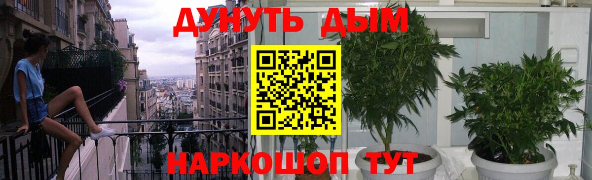 Шишки марихуана ГИДРОПОН  Вход с VPN  Каннабис Bruce Banner  Верхняя Пышма 